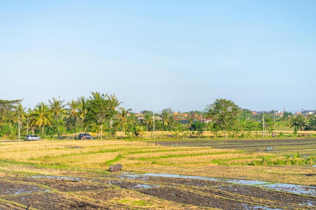 Pondok Lulik Seseh Beach Munggu Exterior foto
